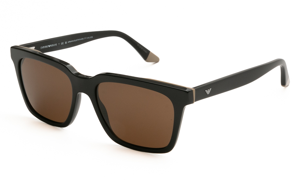 SUNGLASSES EMPORIO ARMANI 4260 631373 5517 1