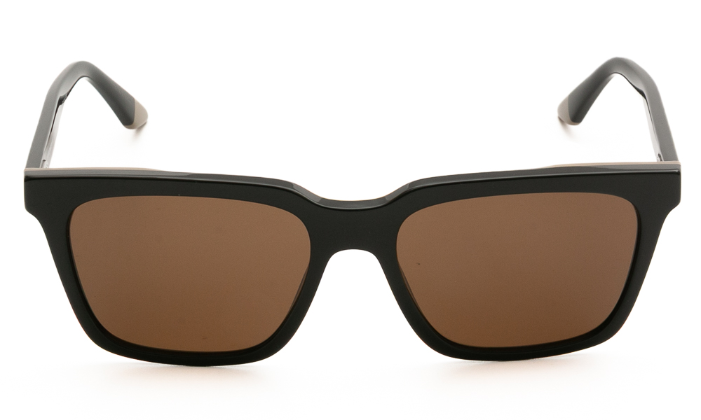 SUNGLASSES EMPORIO ARMANI 4260 631373 5517 2