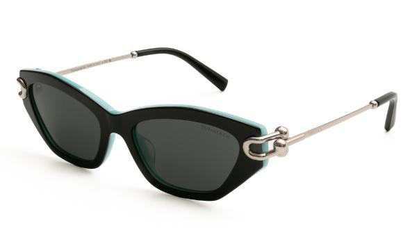 SUNGLASSES TIFFANY & CO 4231U 8055S4 5317