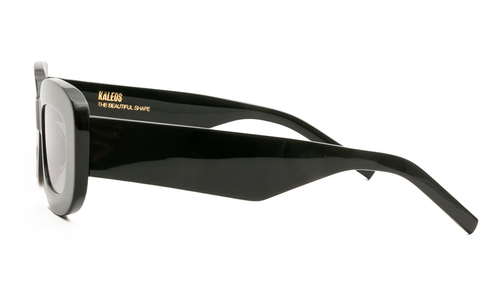 SUNGLASSES KALEOS ELUARD 1 5122 3