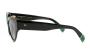 SUNGLASSES ETNIA SA FARNERA SUN BK 5320