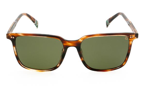 SUNGLASSES ETNIA CALONGE II SUN HVGR 5517 - 2