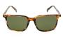SUNGLASSES ETNIA CALONGE II SUN HVGR 5517