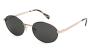 ΓΥΑΛΙΑ ΗΛΙΟΥ POLAR GOLD TESEO 78/F 5420