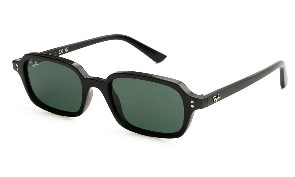 SUNGLASSES RAY BAN 4455 667771 5219 1
