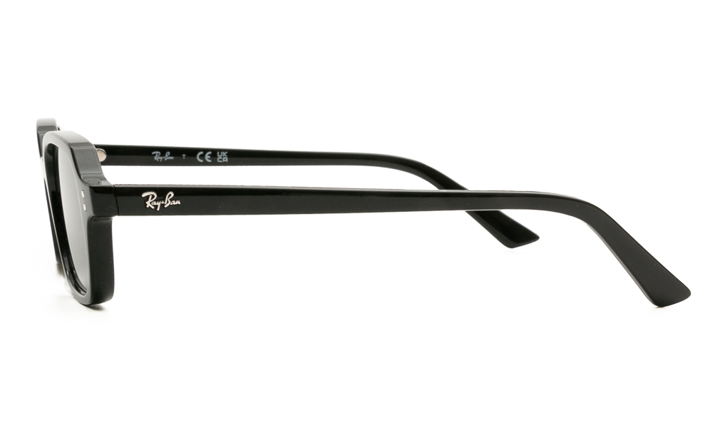 SUNGLASSES RAY BAN 4455 667771 5219 3
