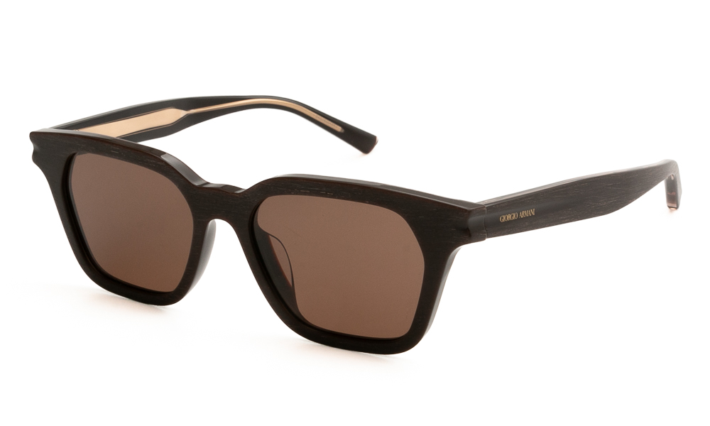 ΓΥΑΛΙΑ ΗΛΙΟΥ GIORGIO ARMANI 8251U 640273 5217 1