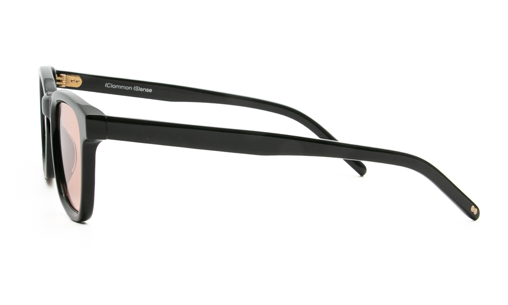 ΓΥΑΛΙΑ ΗΛΙΟΥ COMMON SENSE 019 BLK S8 5019 3