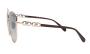 ΓΥΑΛΙΑ ΗΛΙΟΥ FERRAGAMO SF339S 774 6015