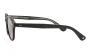 ΓΥΑΛΙΑ ΗΛΙΟΥ GARRETT LEIGHT LACHMAN MBK/SFPACAI 4922