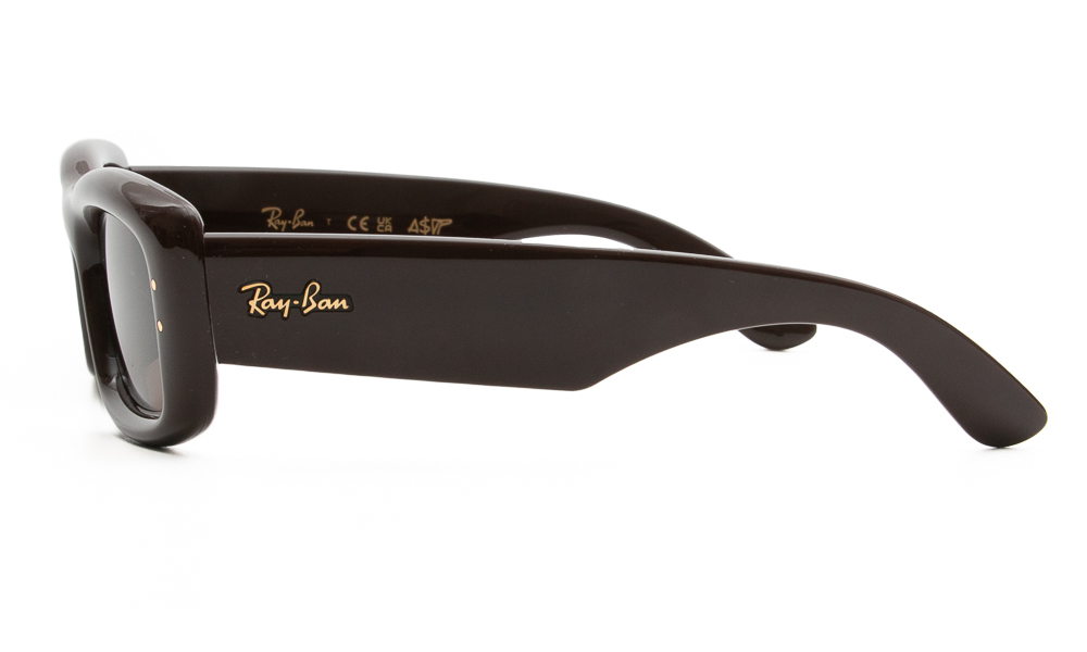 SUNGLASSES RAY BAN 4944 687773 5519 3