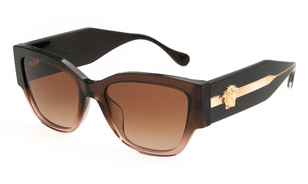ΓΥΑΛΙΑ ΗΛΙΟΥ VERSACE 4509U 533213 5518 1