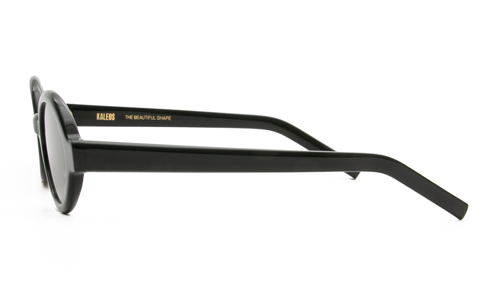 SUNGLASSES KALEOS LUDWIG 1 5221 3