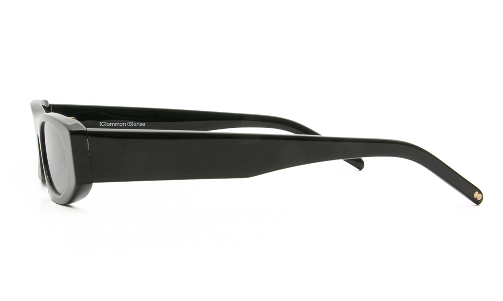 ΓΥΑΛΙΑ ΗΛΙΟΥ COMMON SENSE 043 BLK S1 5020 3
