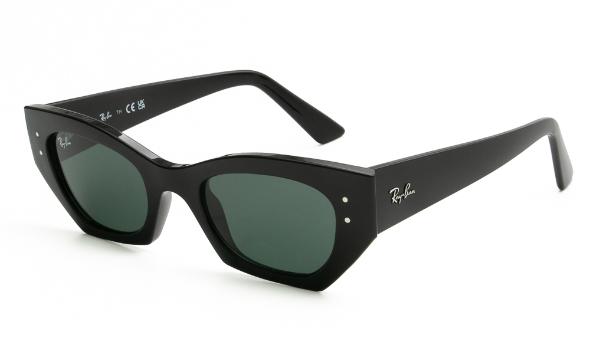 SUNGLASSES RAY BAN 4430 667771 4922