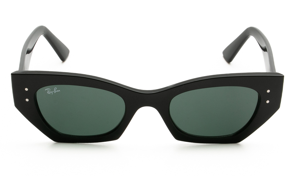 SUNGLASSES RAY BAN 4430 667771 4922 2