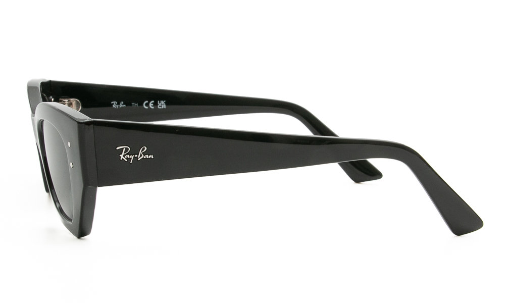 SUNGLASSES RAY BAN 4430 667771 4922 3