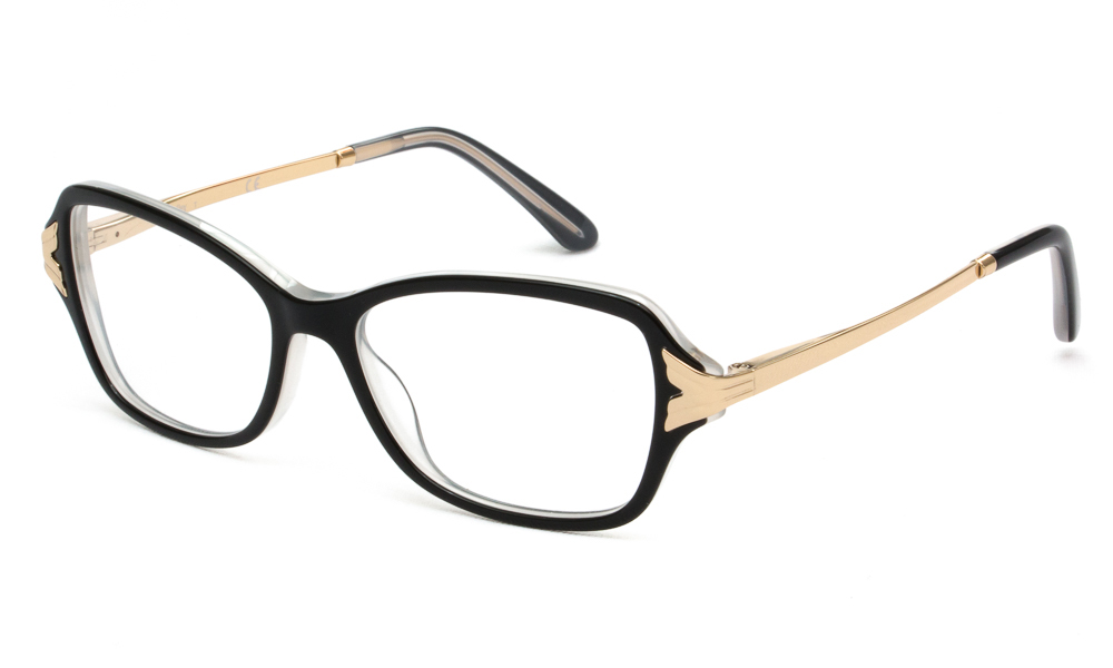 ΣΚΕΛΕΤΟΣ ΟΡΑΣΕΩΣ SFEROFLEX 1576 C555 5215 1