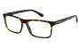 EYEWEAR EMPORIO ARMANI 3227 6052 5417