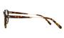 EYEWEAR MOSCOT KASH TORTOISE GOLD 4721