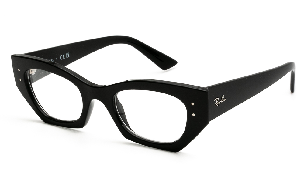 EYEWEAR RAY BAN 7330 8260 4922 1