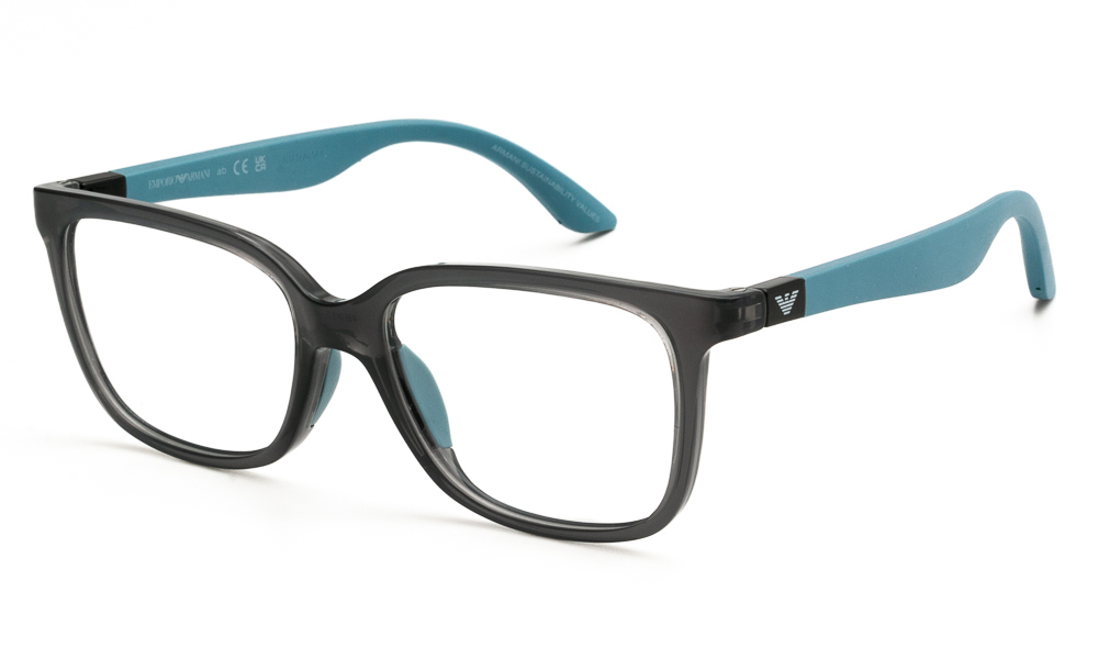 EYEWEAR EMPORIO ARMANI EK3006 6134 4915 1