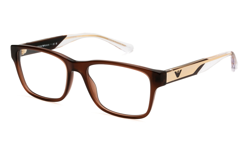 EYEWEAR EMPORIO ARMANI 3239 6095 5317 1