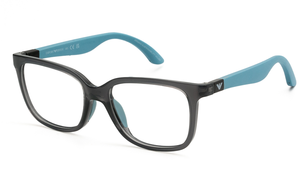 EYEWEAR EMPORIO ARMANI EK3006 6134 4715 1