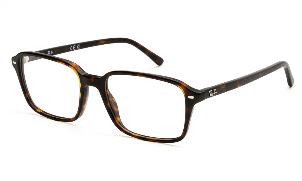 EYEWEAR RAY BAN 5431 2012 5418 1