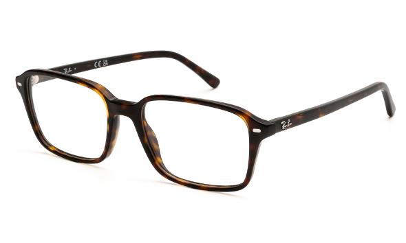 ΣΚΕΛΕΤΟΣ ΟΡΑΣΕΩΣ RAY BAN RAIMOND 5431 2012 5418