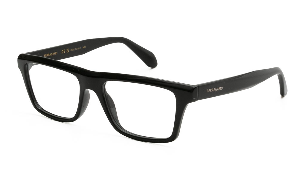 ΣΚΕΛΕΤΟΣ ΟΡΑΣΕΩΣ FERRAGAMO SF2988 001 5417 1