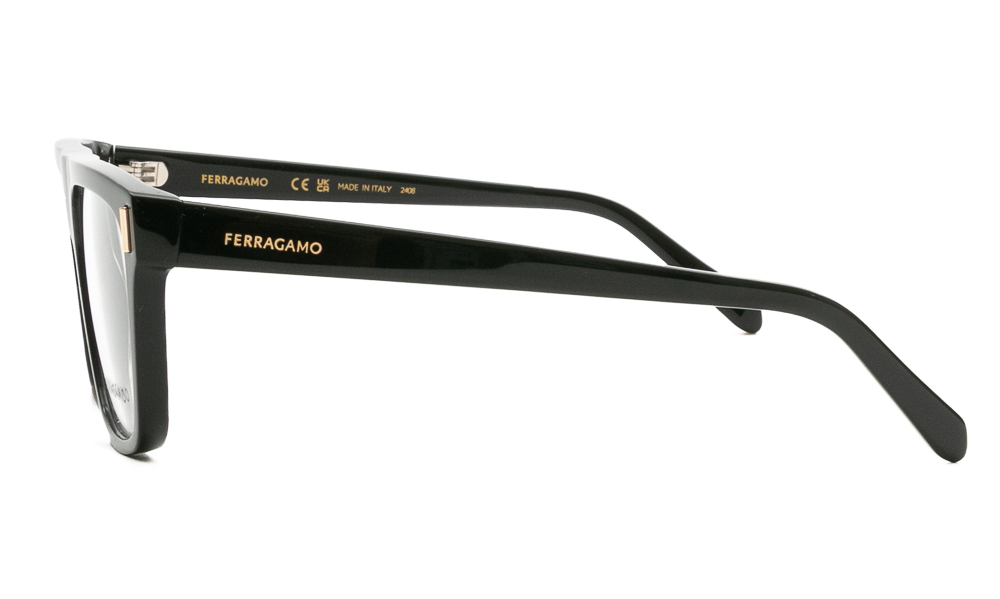 ΣΚΕΛΕΤΟΣ ΟΡΑΣΕΩΣ FERRAGAMO SF2997 001 5517 3