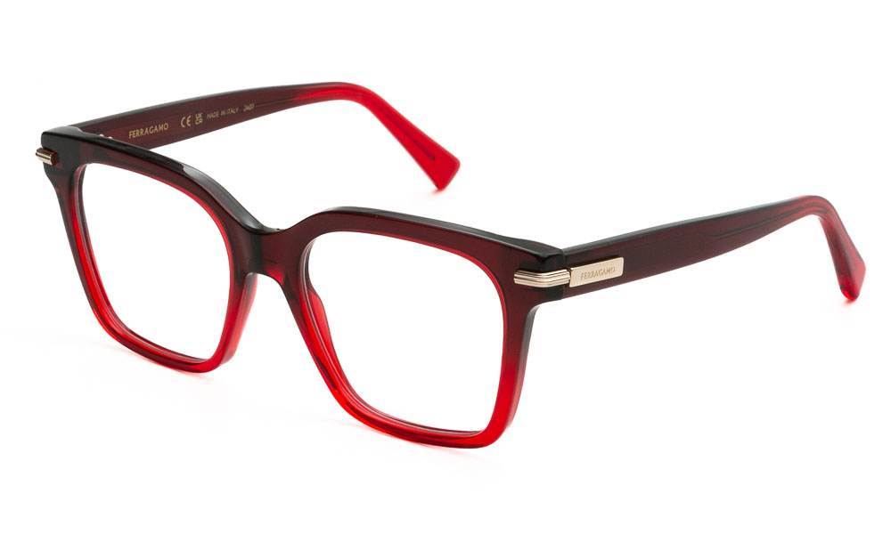 ΣΚΕΛΕΤΟΣ ΟΡΑΣΕΩΣ FERRAGAMO SF3009 615 5218 1