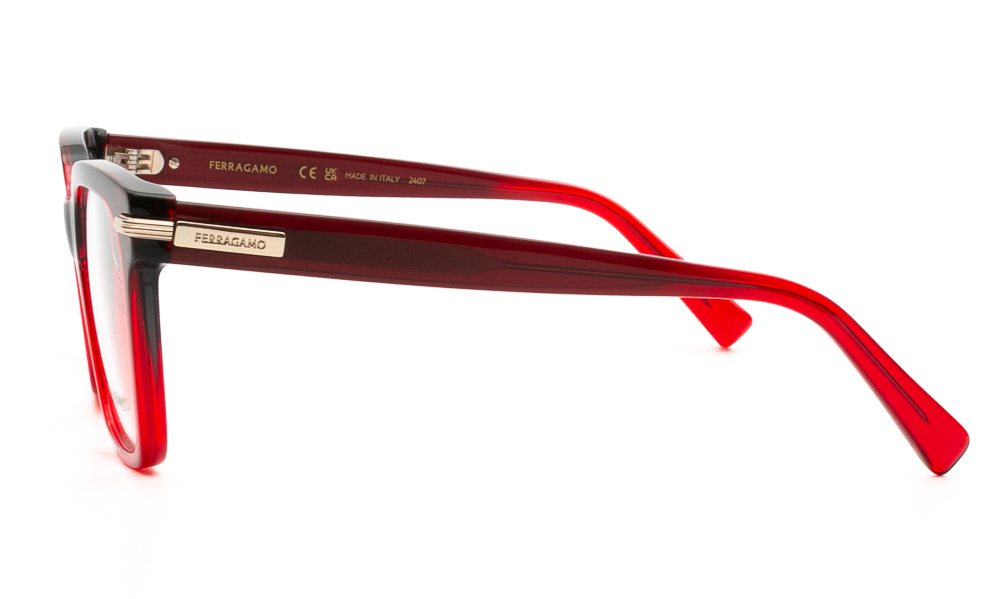 ΣΚΕΛΕΤΟΣ ΟΡΑΣΕΩΣ FERRAGAMO SF3009 615 5218 3