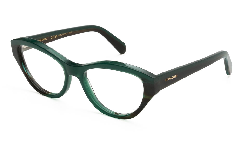 ΣΚΕΛΕΤΟΣ ΟΡΑΣΕΩΣ FERRAGAMO SF3011 336 5317 1