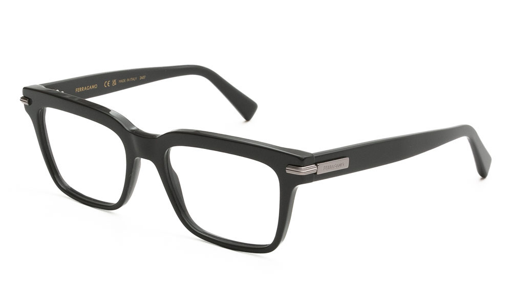 ΣΚΕΛΕΤΟΣ ΟΡΑΣΕΩΣ FERRAGAMO SF3014 019 5318 1
