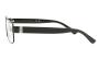 EYEWEAR POLO R. LAUREN 1239 9223 5516