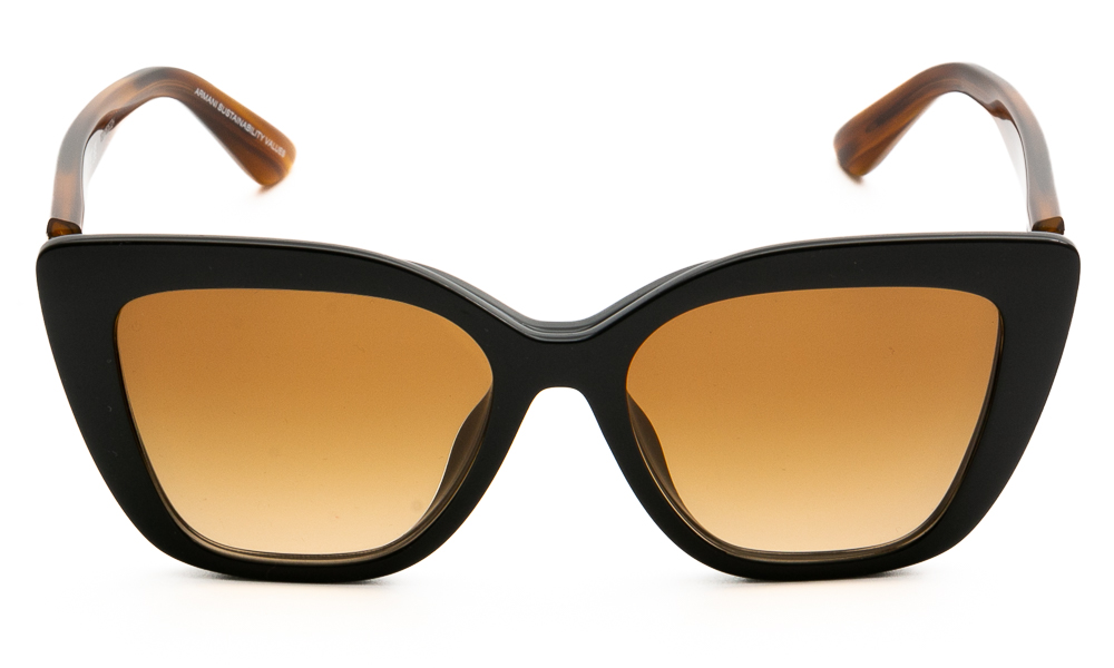 ΣΚΕΛΕΤΟΣ ΟΡΑΣΕΩΣ EMPORIO ARMANI 4254U & CLIP 62681W 5216 2