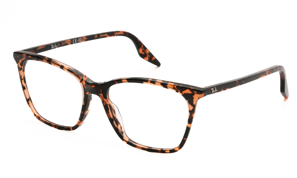 EYEWEAR RAY BAN 5422 8423 5416 1