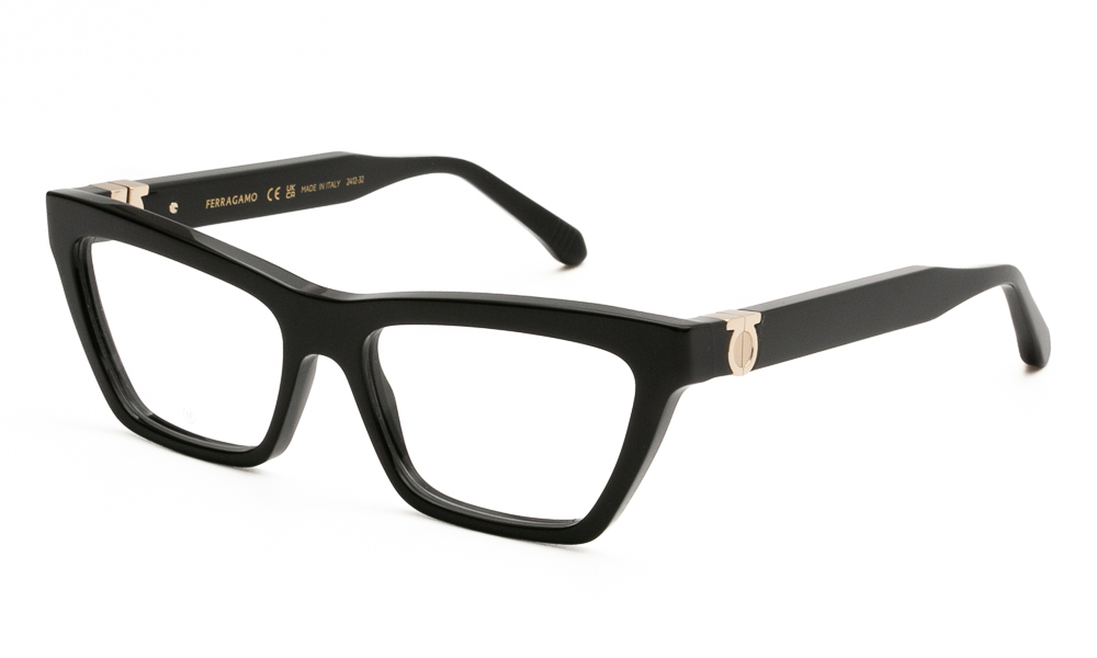 ΣΚΕΛΕΤΟΣ ΟΡΑΣΕΩΣ FERRAGAMO SF3021 001 5416 1