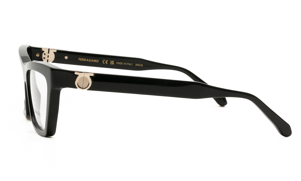 ΣΚΕΛΕΤΟΣ ΟΡΑΣΕΩΣ FERRAGAMO SF3021 001 5416 3