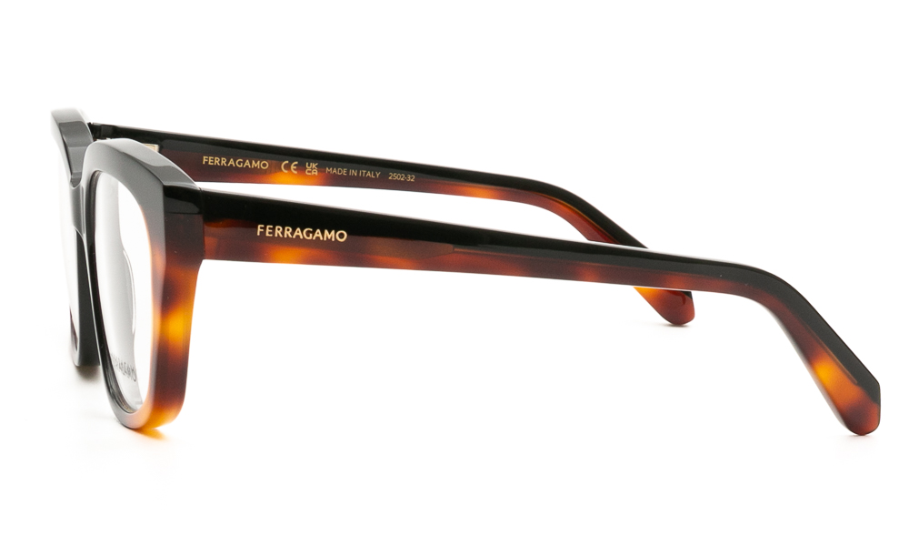 ΣΚΕΛΕΤΟΣ ΟΡΑΣΕΩΣ FERRAGAMO SF3023 006 5118 3