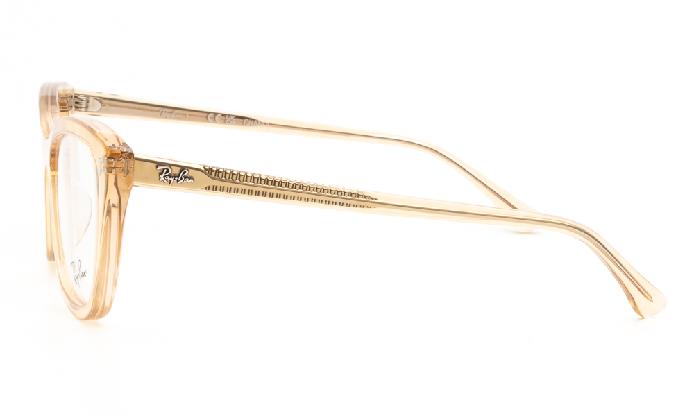 ΣΚΕΛΕΤΟΣ ΟΡΑΣΕΩΣ RAY BAN 5433 8294 5219 3