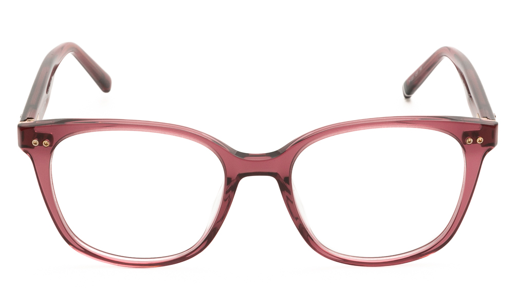 ΣΚΕΛΕΤΟΣ ΟΡΑΣΕΩΣ TOMMY HILFIGER 2291 LHF 5017 2
