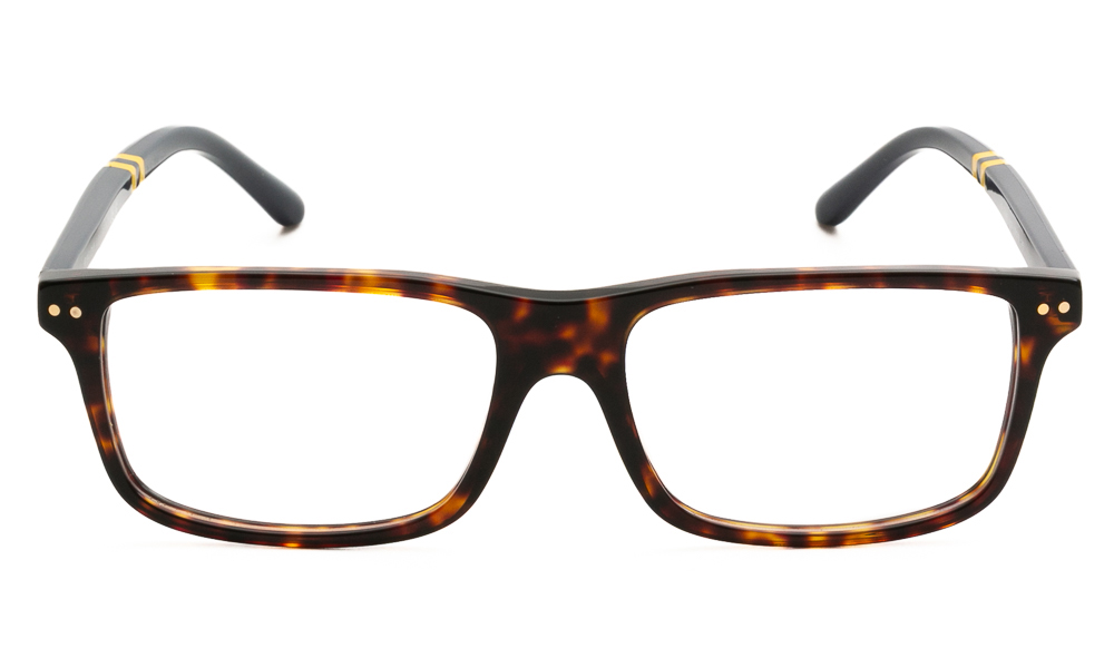 EYEWEAR POLO R. LAUREN 2296 5003 5516 2