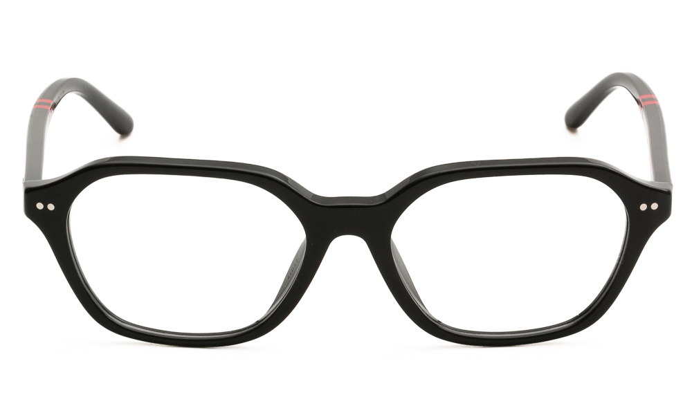 EYEWEAR POLO R. LAUREN 2295U 5001 5317 2