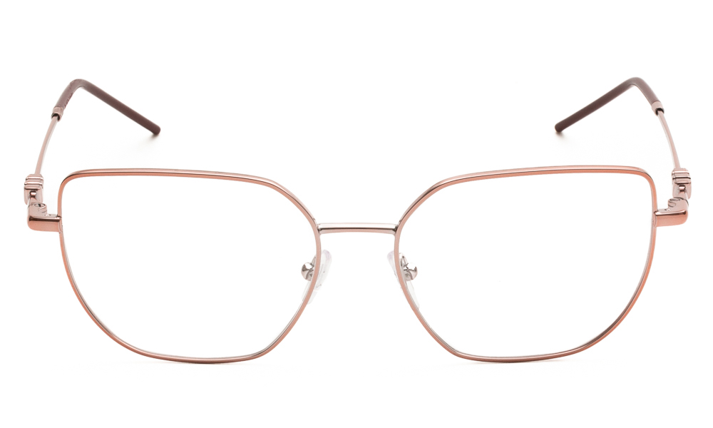 ΣΚΕΛΕΤΟΣ ΟΡΑΣΕΩΣ EMPORIO ARMANI 1176 3426 5316 2