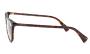 ΣΚΕΛΕΤΟΣ ΟΡΑΣΕΩΣ RALPH 7190U 5003 5615