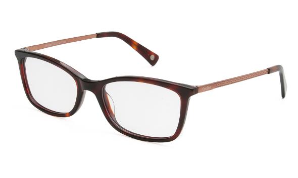 ΣΚΕΛΕΤΟΣ ΟΡΑΣΕΩΣ CAVALLIERI CAV8050 C2 5217