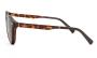 EYEWEAR POLAR 548 & CLIP 428 4921